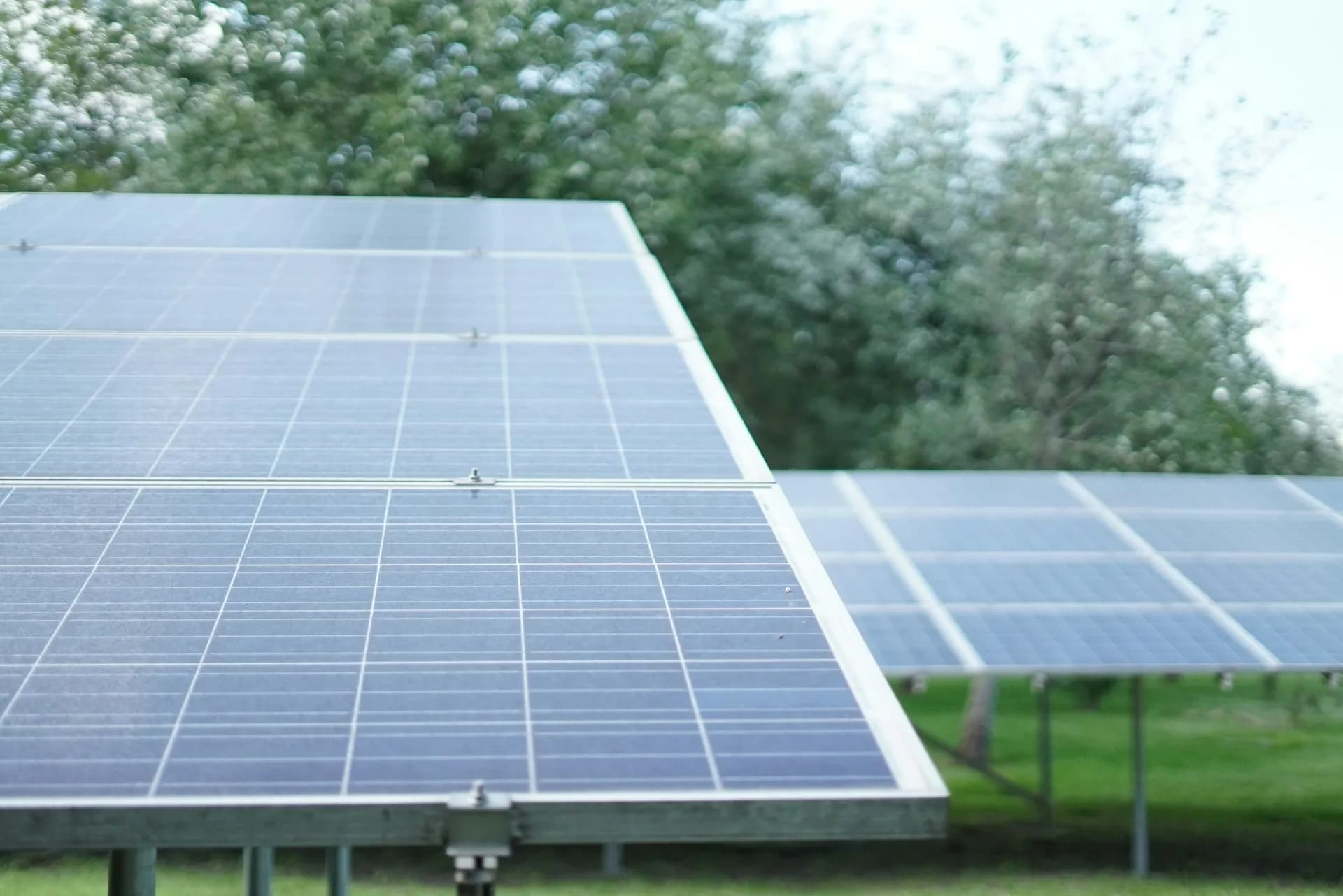 Trina Solar Vertex N TSM-NEG19RC.20